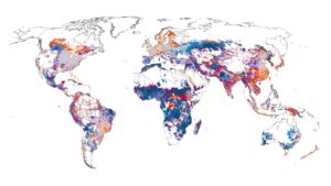 Cornell researchers synthesized data from multiple ground sources and models to map global cropland emissions at high resolution – down to about 10 kilometers. (Shea Oleksa/Cornell University)