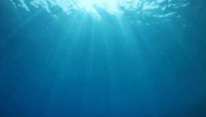 Sunlight seen from below the ocean's surface