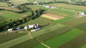 Farm buildings in the middle of cultivated fields