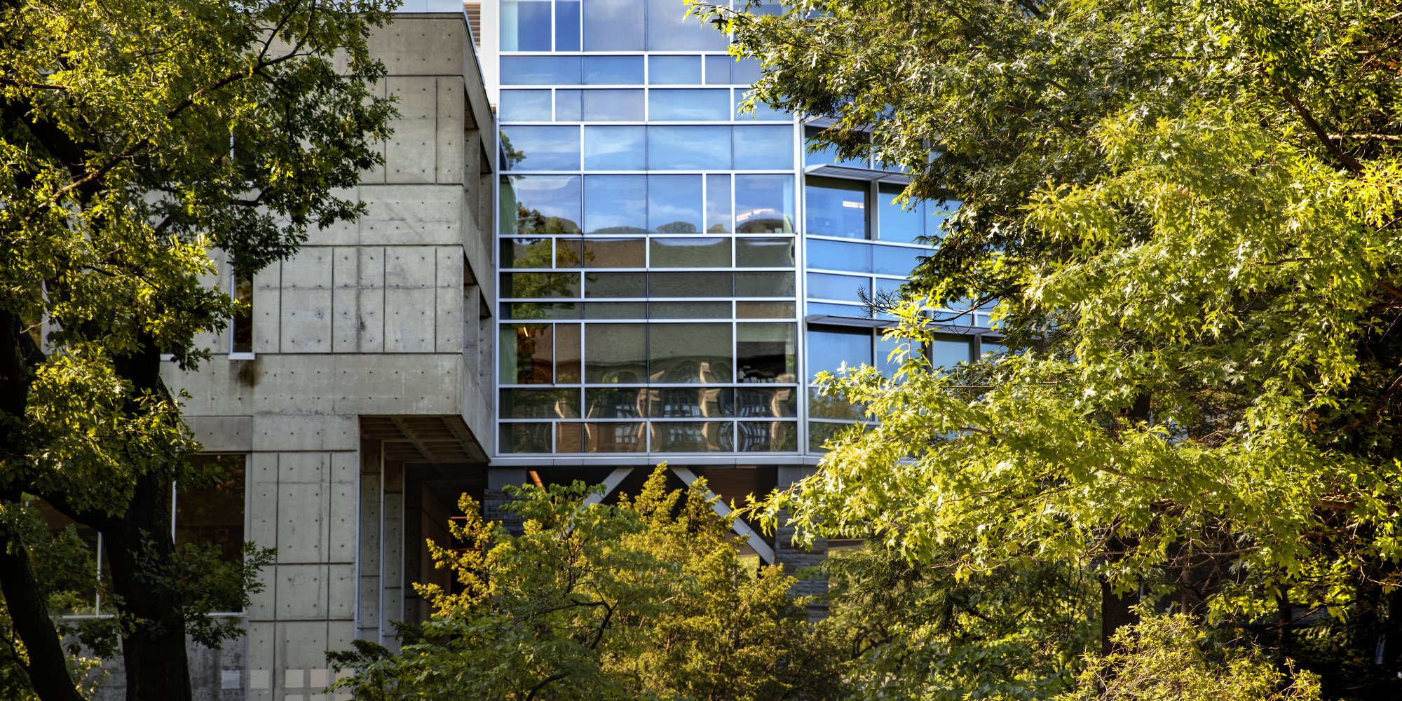Cornell Health building surrounded by the green leaves of summer.