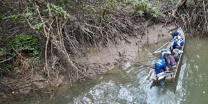 Students working with Todd Cowen and others test device they built to detect methane emissions in waterways near mangroves