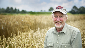 Mark Sorrells in a field of wheat